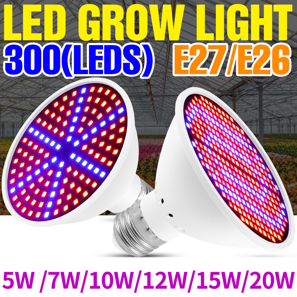 Echeveria Succulent - 25W E27 LED-kweeklamp met volledig spectrum,