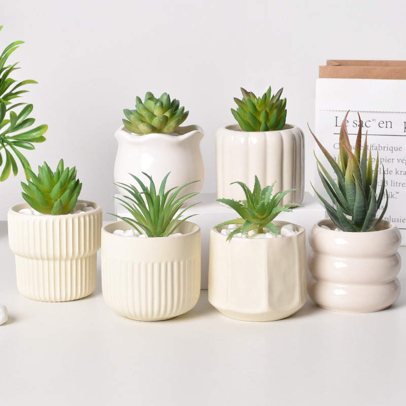 Echeveria Succulent - Keramische zelfwatergevende succulente plantenbak, witte minimalistische