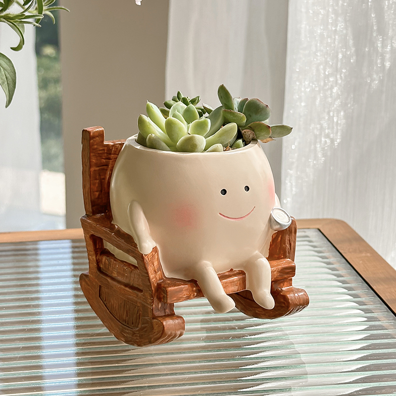 Stijlvolle schattige cartoon s - Echeveria Succulent recensie en prijs