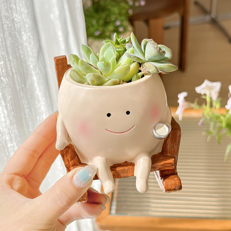 Stijlvolle schattige cartoon s - Echeveria Succulent recensie en prijs