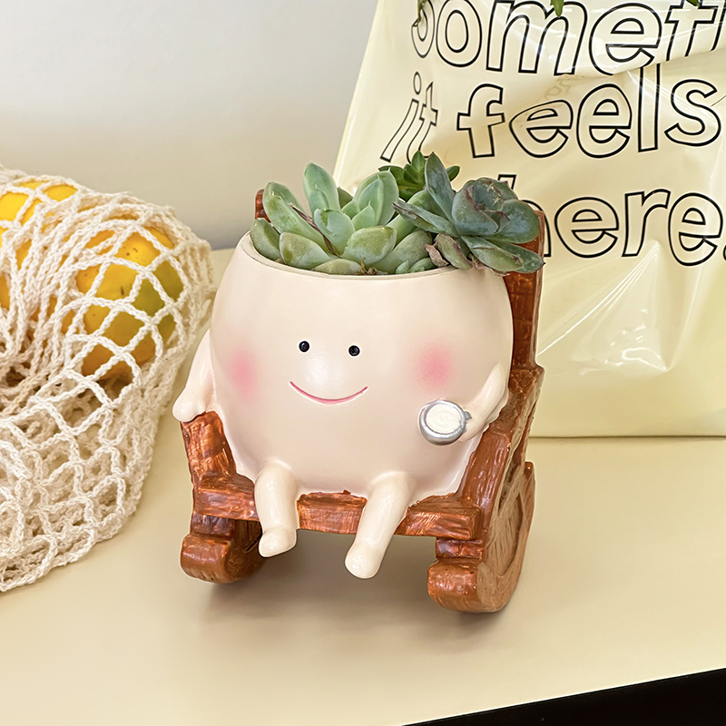 Stijlvolle schattige cartoon s - Echeveria Succulent recensie en prijs