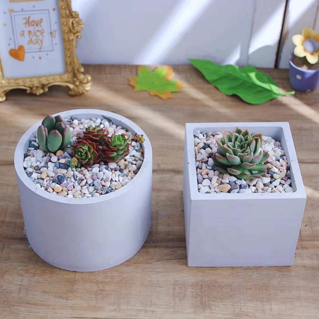 15cm grote ronde betonnen bloe - Echeveria Succulent recensie en prijs