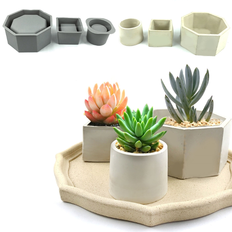 Handgemaakte Sappige Planter B - Echeveria Succulent recensie en prijs